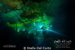 Jail House freshwater section, really dark and big enviro... by Stella Del Curto 